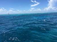 Great day of scuba diving in Key Largo with Rainbow Reef on molasses reef tropical legend 2016 07 17 r3075 1
