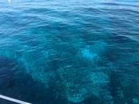 Great day of scuba diving in Key Largo with Rainbow Reef on molasses reef tropical legend 2016 07 29 r3112 1