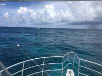 Great day of scuba diving in Key Largo with Rainbow Reef on molasses reef tropical odyssey 2016 07 15 r3070 1