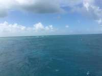 Great day of scuba diving in Key Largo with Rainbow Reef on molasses reef tropical odyssey 2016 07 20 r3082 1