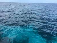 Great day of scuba diving in Key Largo with Rainbow Reef on molasses reef tropical voyager 2016 07 22 r3085 1