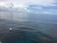 Great day of scuba diving in Key Largo with Rainbow Reef on molasses reef tropical voyager 2016 07 22 r3088 1