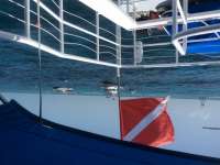 Great day of scuba diving in Key Largo with Rainbow Reef on north star tropical adventure 2016 07 05 r3020 1