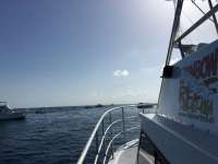 Great day of scuba diving in Key Largo with Rainbow Reef on permit ledges tropical odyssey 2016 07 30 r3119 2