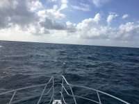 Great day of scuba diving in Key Largo with Rainbow Reef on snapper ledge tropical adventure 2016 07 05 r3018 1