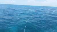 Great day of scuba diving in Key Largo with Rainbow Reef on snapper ledge tropical explorer 2016 07 30 r3122 1
