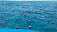Great day of scuba diving in Key Largo with Rainbow Reef on snapper ledge tropical odyssey 2016 07 31 r3130 1