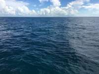 Great day of scuba diving in Key Largo with Rainbow Reef on spiegel grove tropical adventure 2016 07 14 r3066 1
