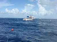 Great day of scuba diving in Key Largo with Rainbow Reef on spiegel grove tropical explorer 2016 07 09 r3037 1