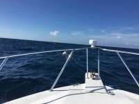 Great day of scuba diving in Key Largo with Rainbow Reef on spiegel grove tropical explorer 2016 07 10 r3044 1
