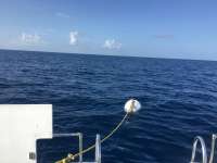 Great day of scuba diving in Key Largo with Rainbow Reef on spiegel grove tropical explorer 2016 07 30 r3117 1