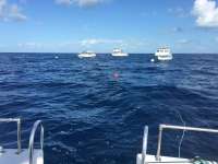 Great day of scuba diving in Key Largo with Rainbow Reef on spiegel grove tropical explorer 2016 07 31 r3126 1