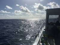 Great day of scuba diving in Key Largo with Rainbow Reef on spiegel grove tropical explorer 2016 07 31 r3126 2
