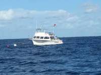 Great day of scuba diving in Key Largo with Rainbow Reef on spiegel grove tropical explorer 2016 07 31 r3126 3