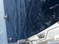 Great day of scuba diving in Key Largo with Rainbow Reef on spiegel grove tropical odyssey 2016 07 12 r3053 1