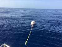 Great day of scuba diving in Key Largo with Rainbow Reef on uscgc duane tropical explorer 2016 07 29 r3111 1