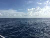Great day of scuba diving in Key Largo with Rainbow Reef on uscgc duane tropical odyssey 2016 07 13 r3059 2