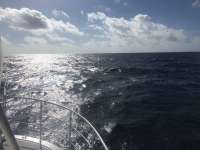 Great day of scuba diving in Key Largo with Rainbow Reef on uscgc duane tropical odyssey 2016 07 20 r3081 1
