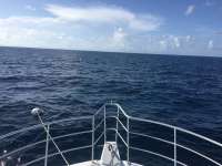 Great day of scuba diving in Key Largo with Rainbow Reef on uscgc duane tropical odyssey 2016 07 25 r3099 1