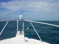Great day of scuba diving in Key Largo with Rainbow Reef on benwood wreck tropical explorer 2016 06 09 r2890 1