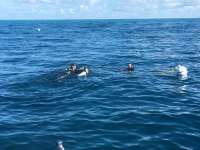 Great day of scuba diving in Key Largo with Rainbow Reef on benwood wreck tropical legend 2016 06 03 r2873 1