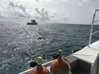 Great day of scuba diving in Key Largo with Rainbow Reef on benwood wreck tropical legend 2016 06 05 r2883 1
