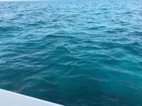Great day of scuba diving in Key Largo with Rainbow Reef on benwood wreck tropical legend 2016 06 05 r2883 2
