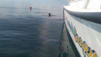 Great day of scuba diving in Key Largo with Rainbow Reef on benwood wreck tropical legend 2016 06 13 r2915 1