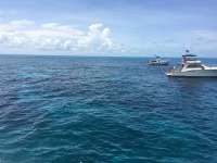 Great day of scuba diving in Key Largo with Rainbow Reef on christ statue tropical odyssey 2016 06 27 r2990 2