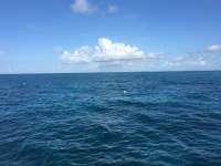 Great day of scuba diving in Key Largo with Rainbow Reef on christmastree cave tropical legend 2016 06 26 r2982 1