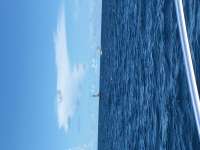 Great day of scuba diving in Key Largo with Rainbow Reef on conch wall tropical explorer 2016 06 01 r2865 1
