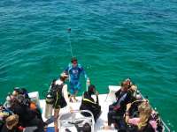 Great day of scuba diving in Key Largo with Rainbow Reef on crf nursery tropical voyager 2016 06 03 r2876 1