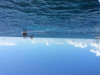 Great day of scuba diving in Key Largo with Rainbow Reef on eagle ray alley tropical adventure 2016 06 01 r2864 1