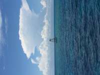 Great day of scuba diving in Key Largo with Rainbow Reef on eagle ray alley tropical adventure 2016 06 02 r2870 1