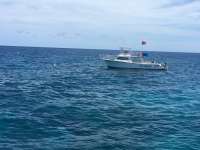 Great day of scuba diving in Key Largo with Rainbow Reef on eagle ray alley tropical legend 2016 06 24 r2974 1