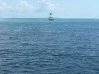 Great day of scuba diving in Key Largo with Rainbow Reef on eagle ray alley tropical odyssey 2016 06 13 r2916 1