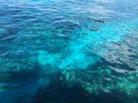 Great day of scuba diving in Key Largo with Rainbow Reef on eagle ray alley tropical odyssey 2016 06 29 r2996 1