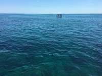 Great day of scuba diving in Key Largo with Rainbow Reef on elbow reef tropical odyssey 2016 06 14 r2921 2