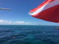 Great day of scuba diving in Key Largo with Rainbow Reef on fire coral cave tropical adventure 2016 06 22 r2962 1