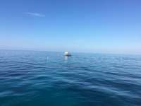 Great day of scuba diving in Key Largo with Rainbow Reef on french reef tropical adventure 2016 06 14 r2917 1