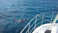 Great day of scuba diving in Key Largo with Rainbow Reef on french reef tropical odyssey 2016 06 26 r2984 1