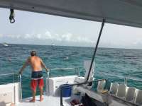 Great day of scuba diving in Key Largo with Rainbow Reef on grecian rocks tropical explorer 2016 06 05 r2884 1