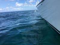 Great day of scuba diving in Key Largo with Rainbow Reef on molasses deep tropical explorer 2016 06 27 r2989 1