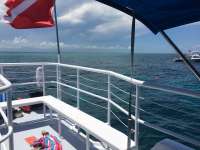 Great day of scuba diving in Key Largo with Rainbow Reef on molasses reef tropical adventure 2016 06 02 r2871 1