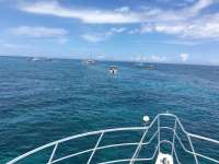 Great day of scuba diving in Key Largo with Rainbow Reef on molasses reef tropical adventure 2016 06 12 r2911 1