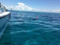 Great day of scuba diving in Key Largo with Rainbow Reef on molasses reef tropical adventure 2016 06 14 r2920 1