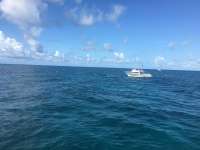 Great day of scuba diving in Key Largo with Rainbow Reef on molasses reef tropical adventure 2016 06 22 r2960 1