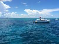 Great day of scuba diving in Key Largo with Rainbow Reef on molasses reef tropical legend 2016 06 01 r2869 1
