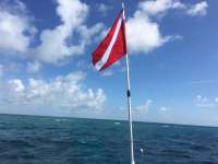 Great day of scuba diving in Key Largo with Rainbow Reef on molasses reef tropical odyssey 2016 06 25 r2975 1
