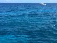 Great day of scuba diving in Key Largo with Rainbow Reef on molasses reef tropical odyssey 2016 06 25 r2979 1